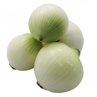Cebolla (Verdura)