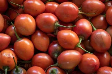 Tomate De Arbol Fruta Entera