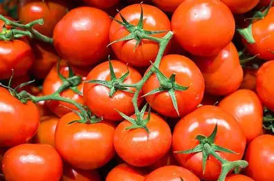 Tomate (Verdura)